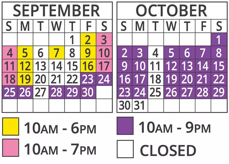 dollywood schedule