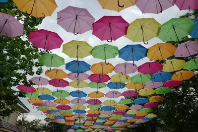 umbrella sky at dollywood flower and food festival