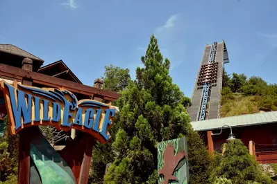 wild eagle dollywood roller coaster