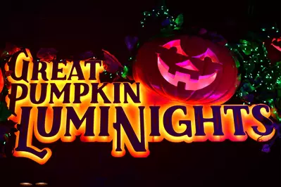 great pumpkin luminights