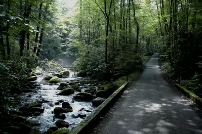 roaring fork river and road