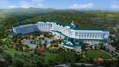 dollywood dreammore resort back