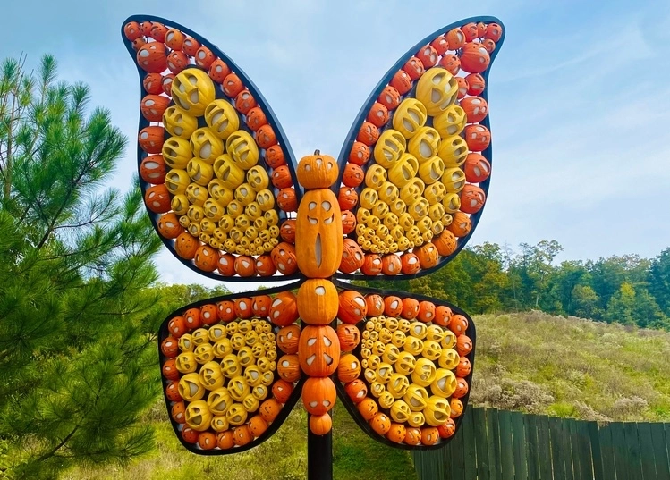 dollywood harvest festival