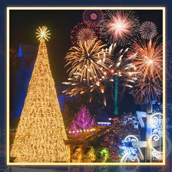 Dollywood Christmas Calendar 2021 | Schedule, Shows, etc