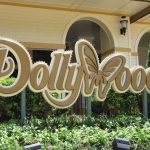 dollywood in pigeon forge tn